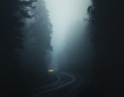 Лучшие библиотеки стоковых фотографий