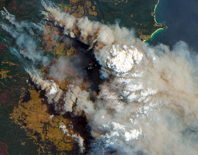 Эксперт: в лесных пожарах виноваты чиновники, а не диверсанты