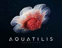 Infinix представила новый флагманский смартфон NOTE 30 VIP в России