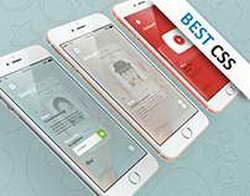 Ростех создал приложение Биосейф для хранения информации на смартфонах