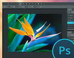Представлены iQOO Neo 8 и 8 Pro  новые короли AnTuTu