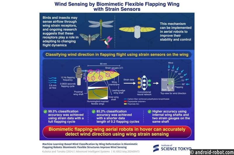 Крылья, вдохновленные колибри, определяют направление ветра с точностью 99%