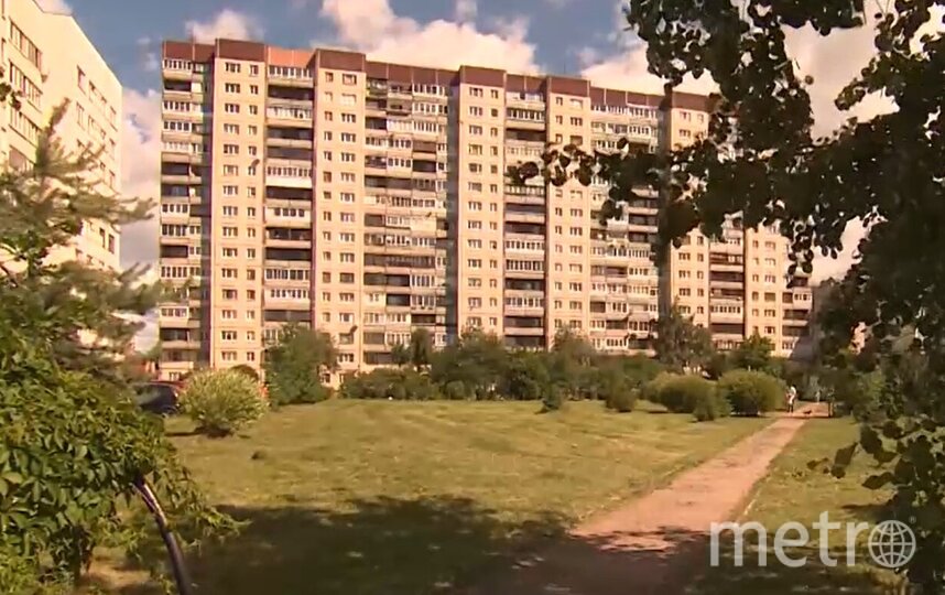 В Петербурге начали проект по благоустройству сквера на проспекте Луначарского